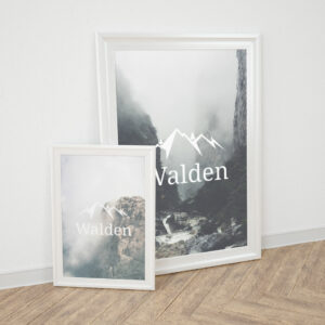 Walden Framed Poster Set